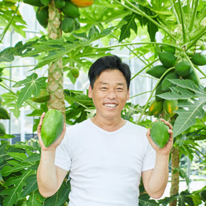 広島県世羅郡もちだファームは青パパイヤとバナナの生産者