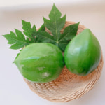 国産青パパイヤ_もちだ農園-