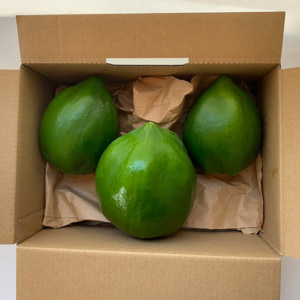 papaya-2kg